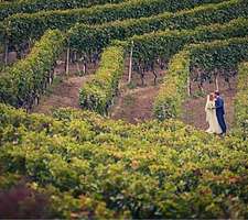 Wedding in barolo 004