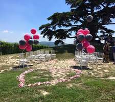 Wedding in the langhe vineyards country