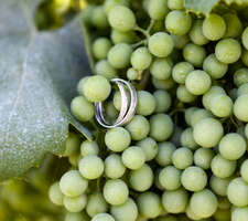 wine themed wedding