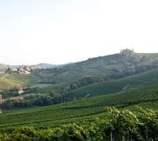 Wedding in the Langhe 003