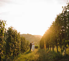 Vineyard Wedding in Piemonte Roero - Extraordinary Weddings Italy 021