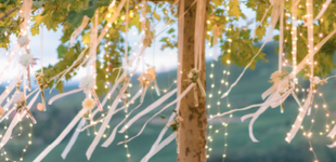 Wedding tree with fairy lights