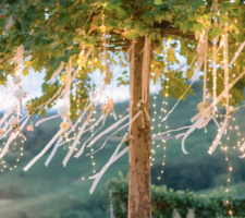 Wedding tree with fairy lights